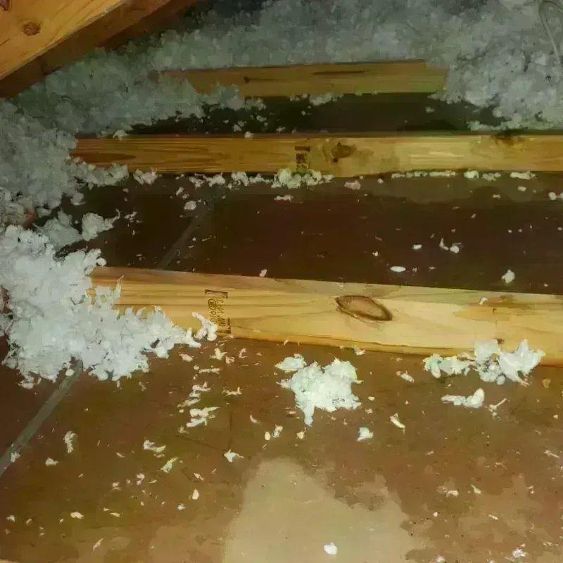 Attic Water Damage in Claude, TX