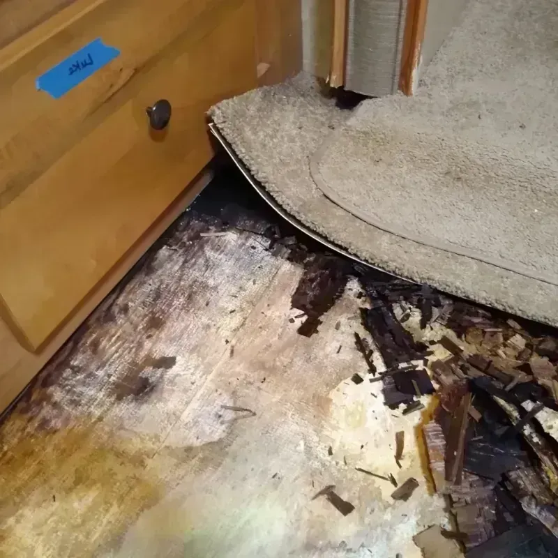 Wood Floor Water Damage in Claude, TX